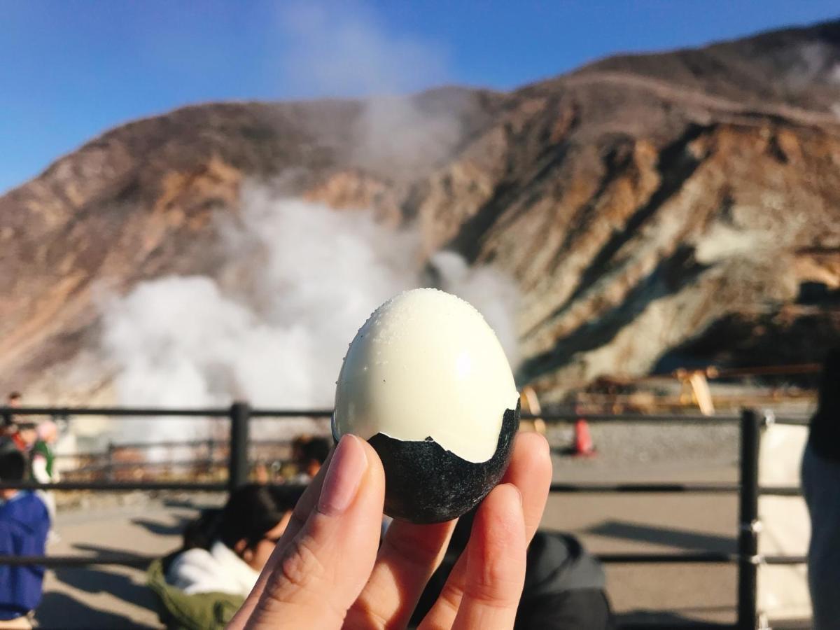 Merveille Hakone Gora Екстериор снимка